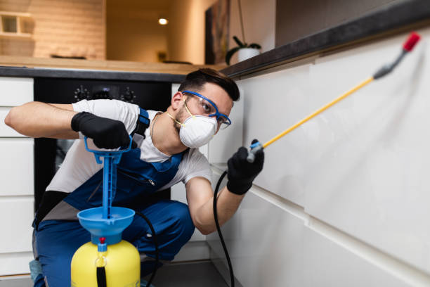 Flea Control Services in Aberdeen, SD