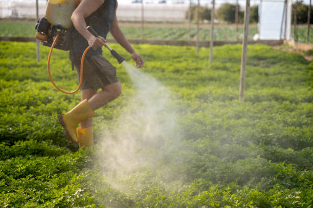 Best Pest Control for Businesses  in Aberdeen, SD