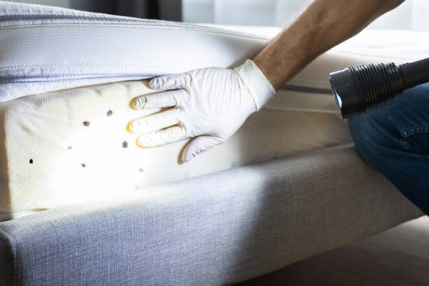 Best Affordable Pest Control Services  in Aberdeen, SD