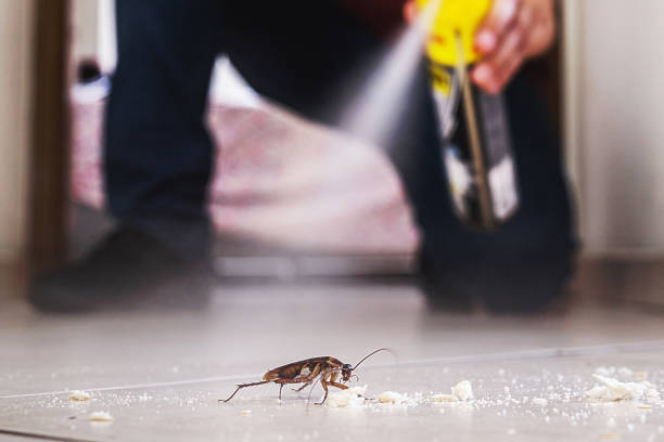 Insect Control in Aberdeen, SD